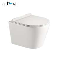 CE wall hung water closet ewc with concealed cistern rimless wall mounted toilet