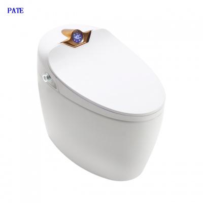 PATE Concealed tank smart electric toilet bathroom wc intelligent water closet