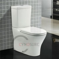 CE approved!A-GRADE HOT SALE WC Siphonic Washdown Two Piece Toilet back to wall High Quality Sanitary Ware for OEM/wholesale