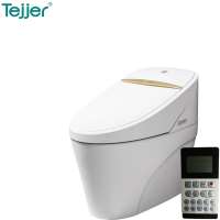 Floor-standing Smart One-piece Intelligent Gold Toilet