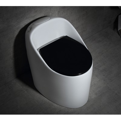 PATE sanitary ware 2012 floor standing water closet ceramic  new German design black egg shape toilet